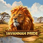 Savannah Pride